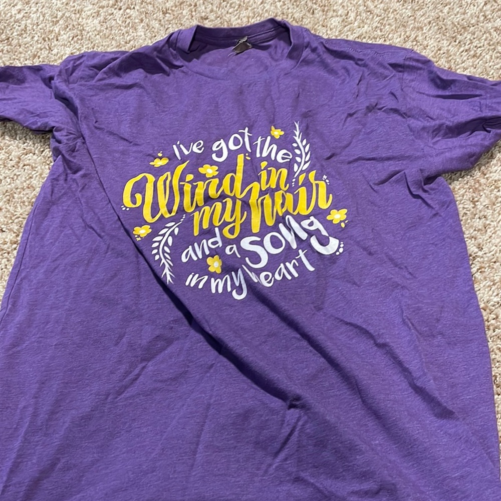 Rapunzel “I’ve got the wind in my hair and a song in my heart” women’s shirt